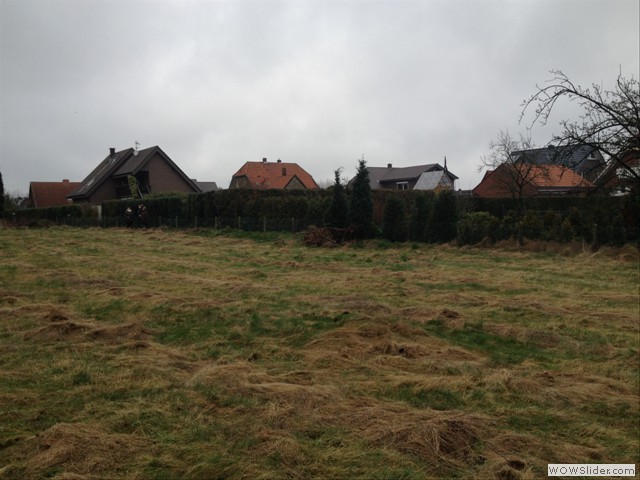 10Blick auf den Alexanderweg Jan 13