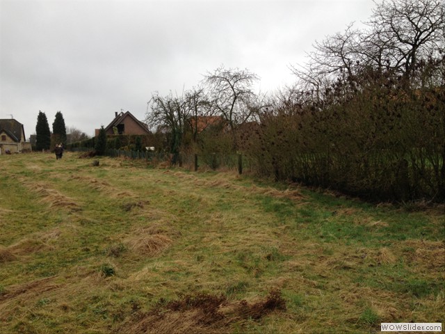 13 Hier wird der Alexanderweg sein Jan 13