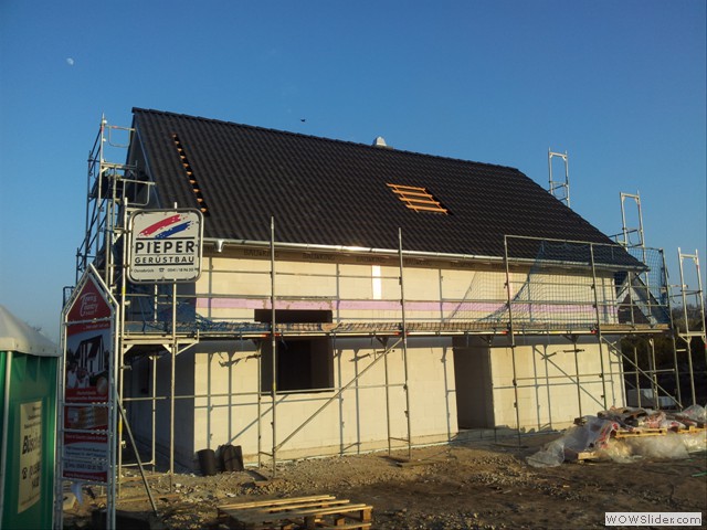 42 Dachpfannen